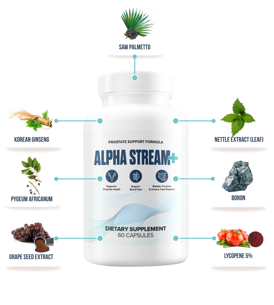 Alpha Stream Plus Ingredients